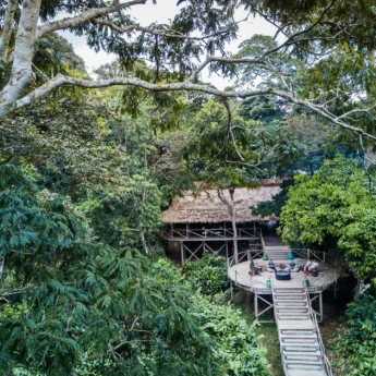 Deck, Ngaga Camp, Odzala-Kokoua NP, Republic of Congo