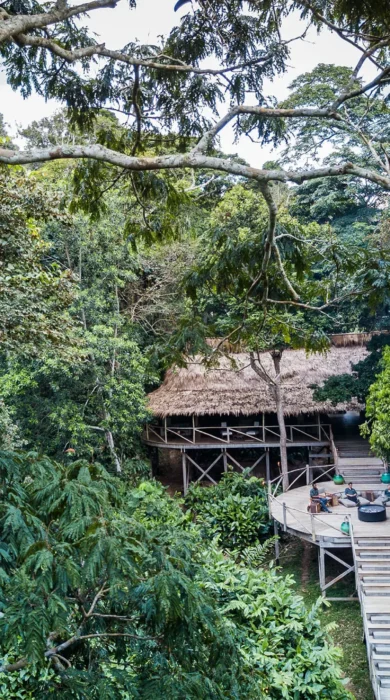 Deck, Ngaga Camp, Odzala-Kokoua NP, Republic of Congo