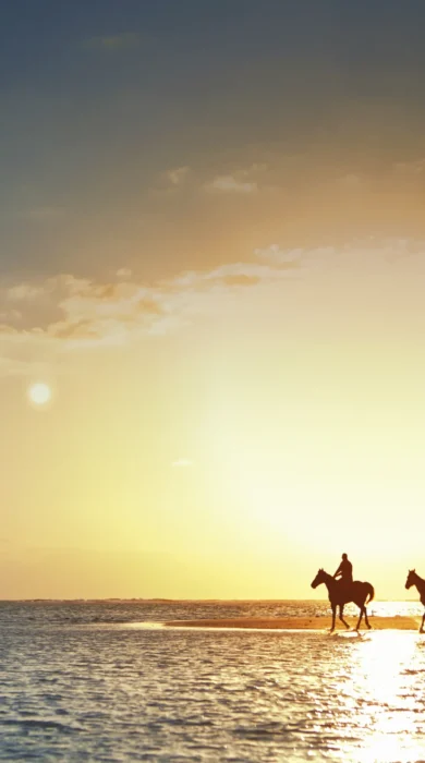 horse riding safaris, east coast mauritius, africa safaris