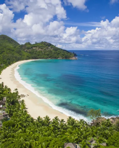 Aerial view of a curved bay, sandy beach and forest, Seychelles - Yellow Zebra Safari