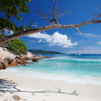 beach, la digue island, africa safari destination
