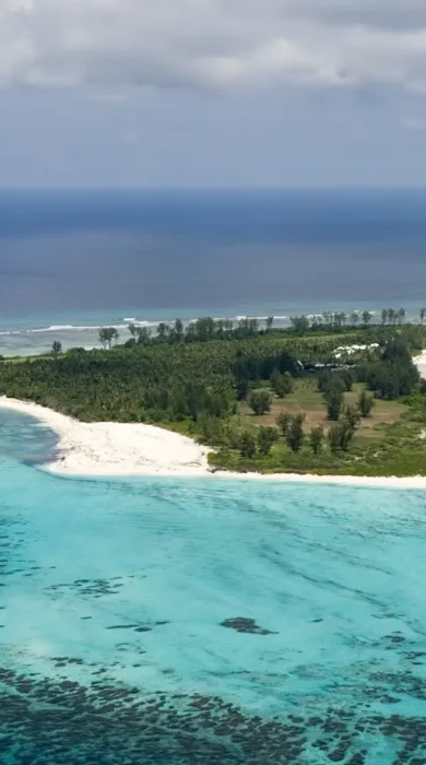 Aerial View of Bird Island.ii