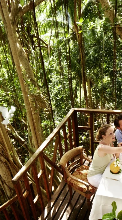 Tree House