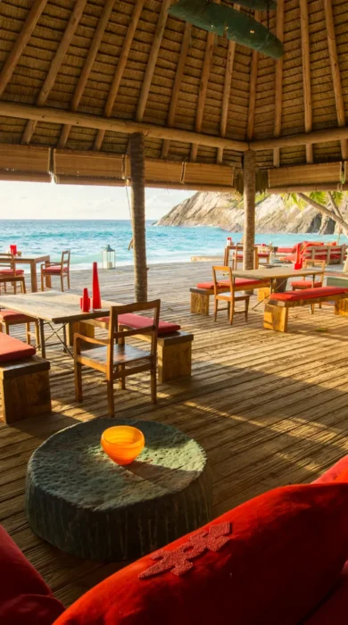 North Island Bar Seychelles yellow zebra safaris