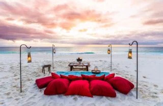 North island beach picnic seychelles yellow zebra safaris