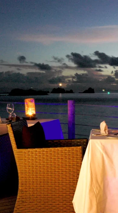 santosha restaurant 2