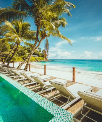 Pool Loungers
