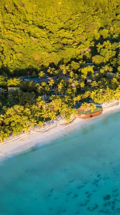 Seychelles beach ariel view