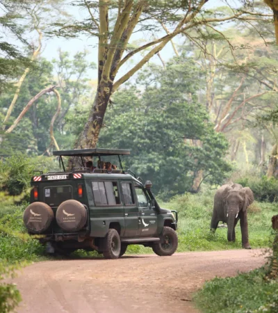 ngorongoro crater lodge game drive