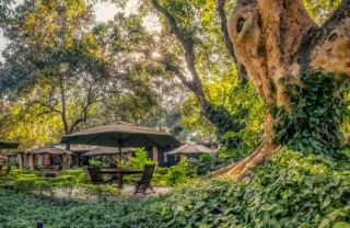 Arusha Coffee Lodge, Arusha, Tanzania safari