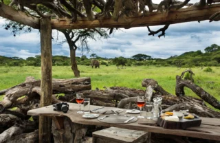 Elephant, waterhole, Ol Donyo, Kenya luxury safari