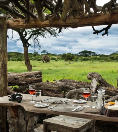 Elephant, waterhole, Ol Donyo, Kenya luxury safari