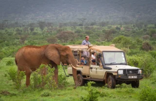 Game drive, Elephant Bedroom Camp, Samburu, Kenya
