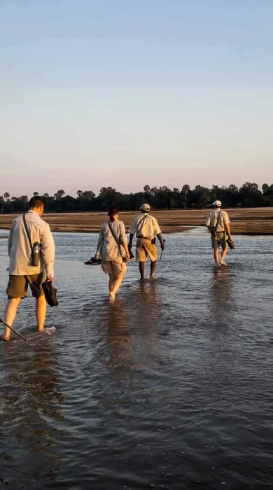 walking through water, walking safari, luangwas hidden value