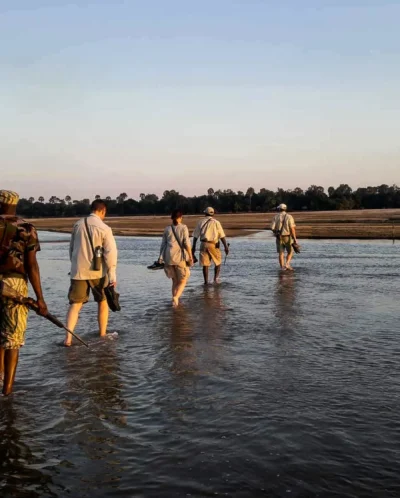 walking through water, walking safari, luangwas hidden value