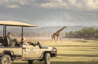 giraffe game drive, best of zambia, trips