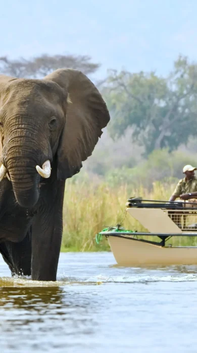 elephant boating, zambias hidden luxuries, trips