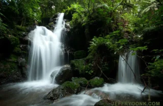 bwindi impenetrable national park, the complete uganda experience