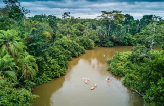 kayaking, the complete odzala experience, congo trips