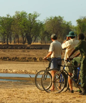 RAS TAFIKA CYCLING SAFARI