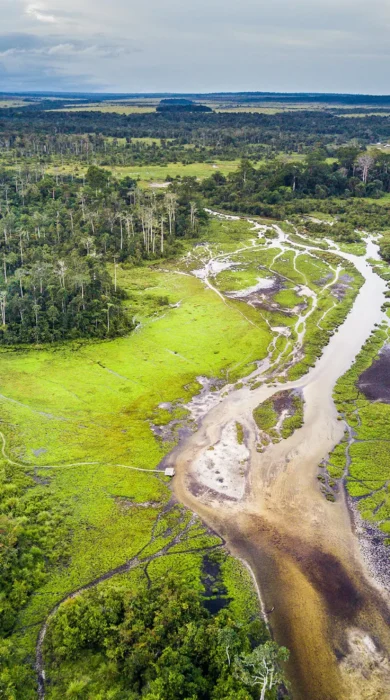 Odzala view of bai, gorilla trekking, Congo