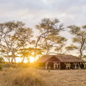 Exterior, Kuro Tarangire, Tarangire National Park, Tanzania