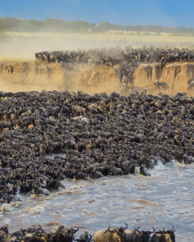 GreatMigrationTanzania