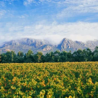 View, Constantia Uitsig, Cape Town, South Africa