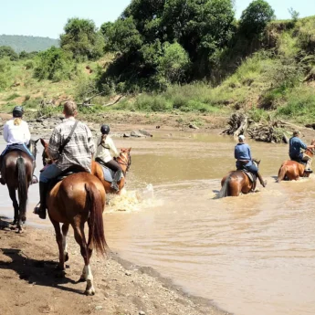 crossing horseback yellow zebra safaris