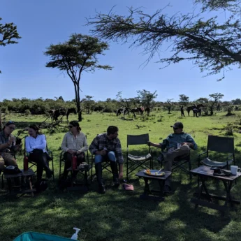 lunch horse riding yellow zebra safaris