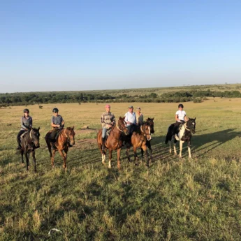 offbeat horse riding yellow zebra safaris