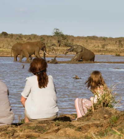 safari walks
