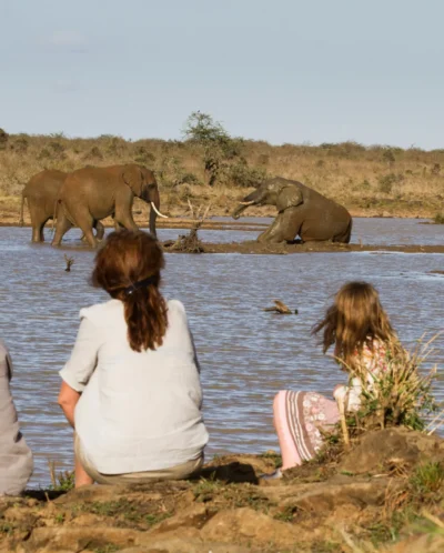 safari walks