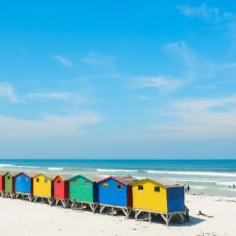 Muizenberg colour best beaches cape town south africa yellow zebra safaris