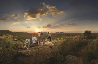 bush picnic tuningi madikwe yellow zebra safaris