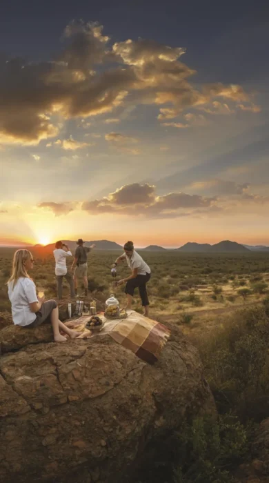 bush picnic tuningi madikwe yellow zebra safaris