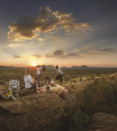 bush picnic tuningi madikwe yellow zebra safaris