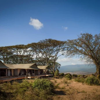 An exterior view of the tented camp shrouded in acacia trees, Entamanu Views, Ngorongoro, Tanzania - Yellow Zebra Safari