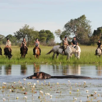 Horseback Safaris, Macatoo Camp, Okavango Delta, Botswana