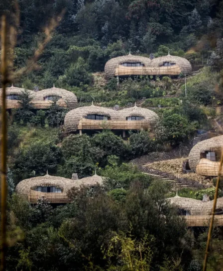 External Bisate, Volcanoes National Park, Rwanda