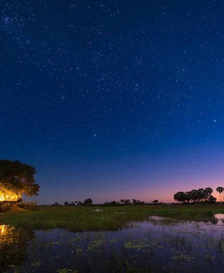 Starbed, Tubu Tree, Okavango Delta, Botswana