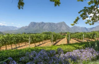Stellenbosch Mountains, The Winelands, Cape Town, South Africa