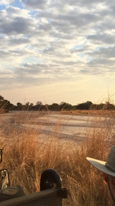 Safari Drive, Mchenja Bush, South Luangwa NP, Zambia