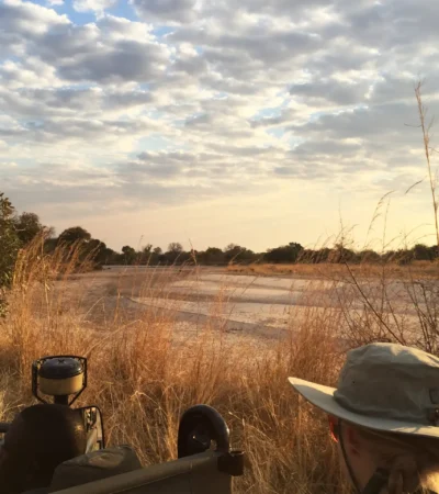 Safari Drive, Mchenja Bush, South Luangwa NP, Zambia