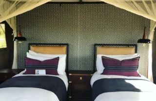 client somalisa expeditions 2 zimbabwe yellow zebra safaris