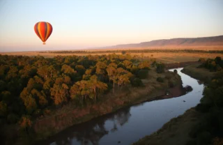 A hot air balloon rises over shrubbery at sunrise, Governors Camp, Kenya - Yellow Zebra Safaris