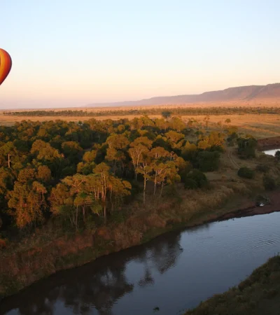 A hot air balloon rises over shrubbery at sunrise, Governors Camp, Kenya - Yellow Zebra Safaris