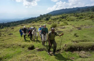 A guide leads a walking safari in Rwanda - Yellow Zebra Safaris