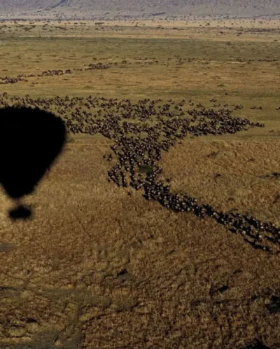 Hot Air Ballooning, The Serengeti NP, Tanzania