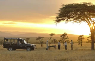 Game drive, Kicheche Laikipia, Kenya